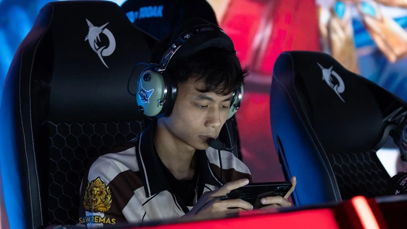 Dewa United Esports